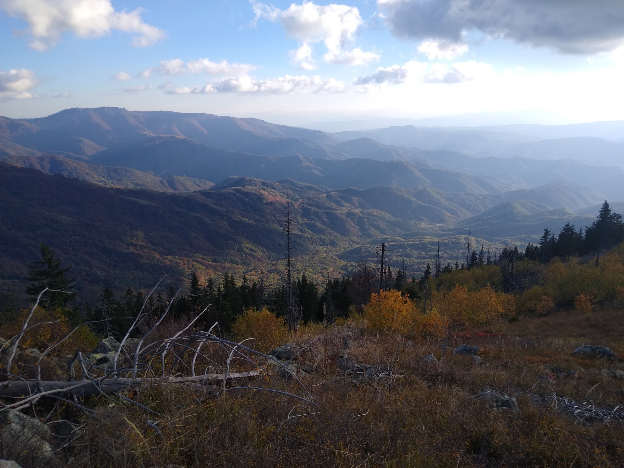 Връшка чука през изгрев с маркировка от Торлакия